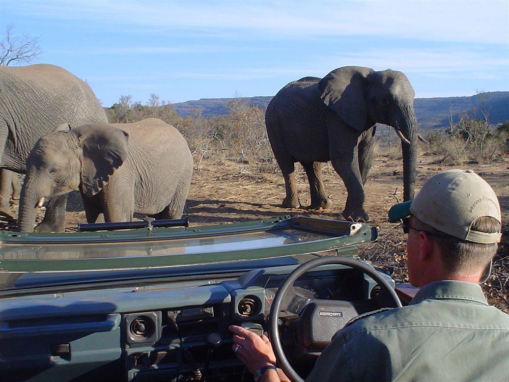 Entabeni Mountain Lodges Mmamatlakala Экстерьер фото